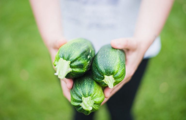 Volunteer Jobs: 4 Companies That Offer Pay 8