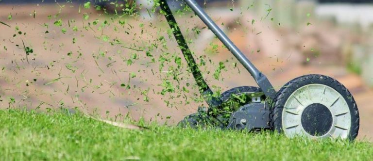 Mowing Lawns