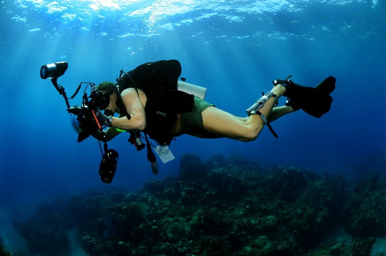 How To Make Money As An Underwater Photographer 4