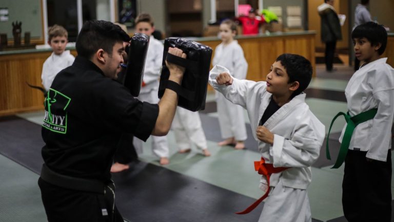 How To Become A Martial Arts Instructor 2