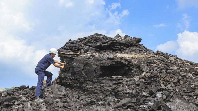 Great Jobs For Outdoorsy People 2