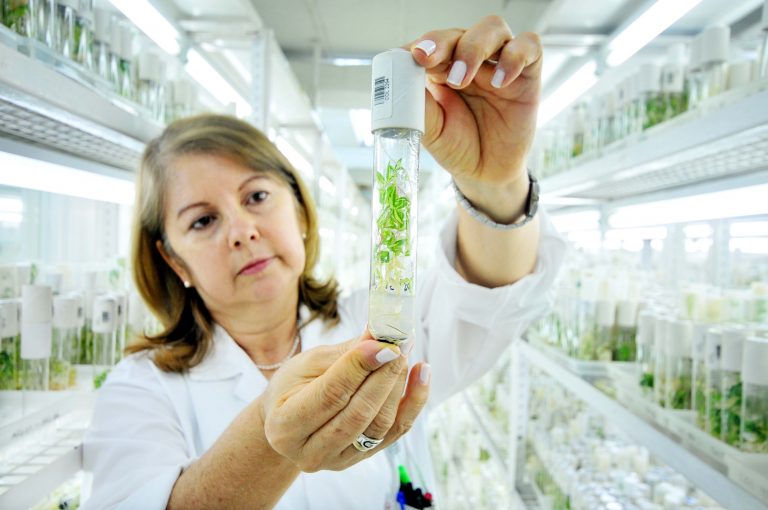 How To Become A Botanist 8